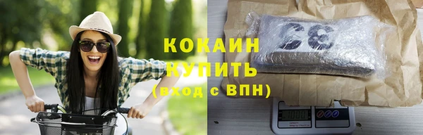 шишки Баксан