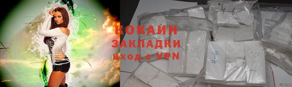 шишки Баксан