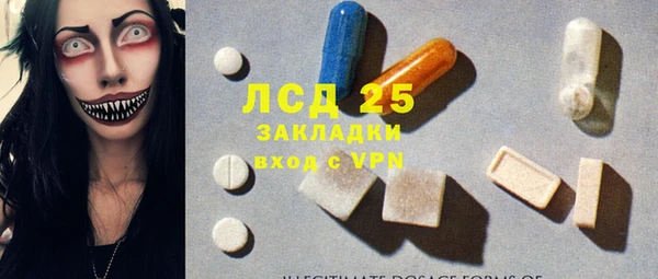 шишки Баксан