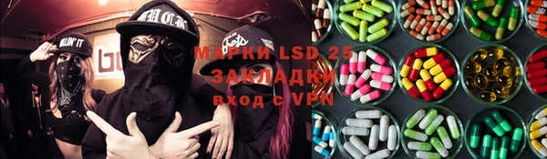 шишки Баксан