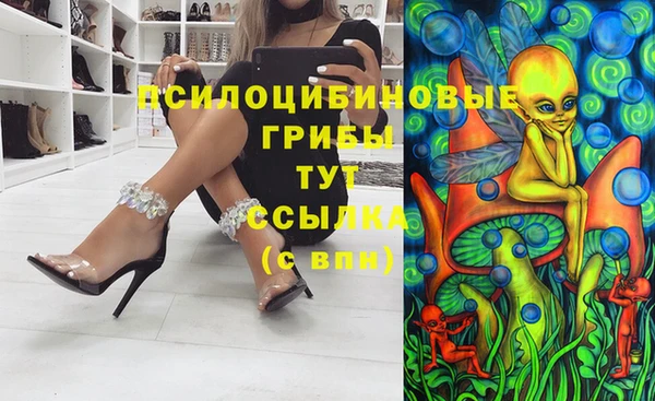 шишки Баксан