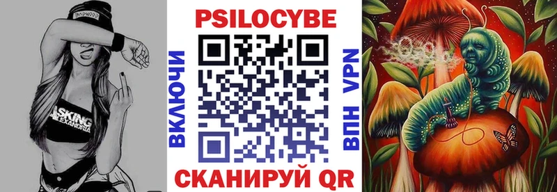 кракен как зайти  Губаха  Галлюциногенные грибы Cubensis 