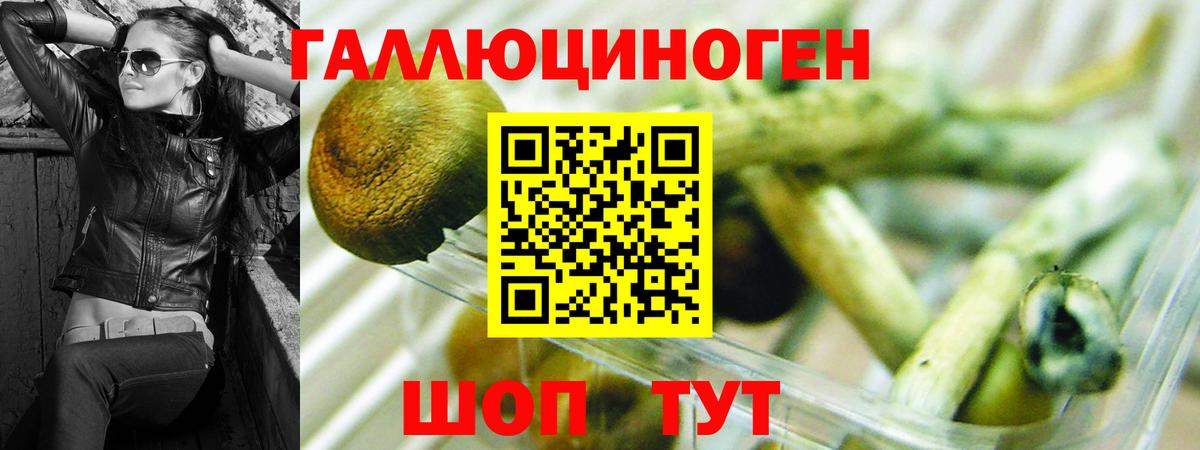 Губаха  Псилоцибиновые грибы MAGIC MUSHROOMS  купить наркоту  Вход с VPN 
